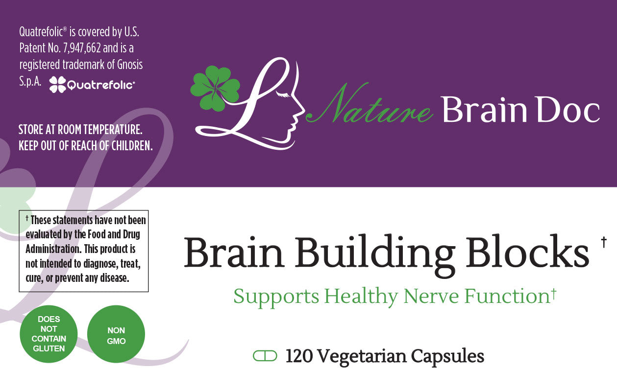 Brain Building Blocks